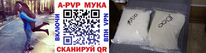 закладки Багратионовск A PVP крисы CK