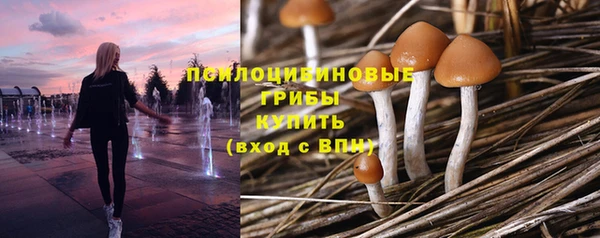 гашик Ахтубинск